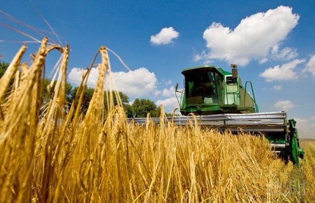 Аграрії Кіровоградщини залучили 542 млн грн кредитів