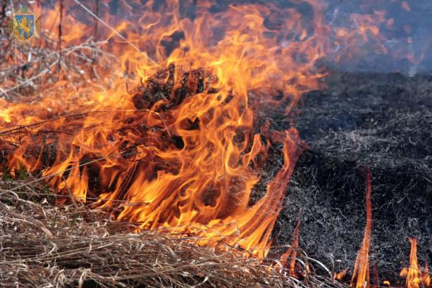 Заборона спалювання сухої трави: небезпеки та штрафи за порушення в Олександрії