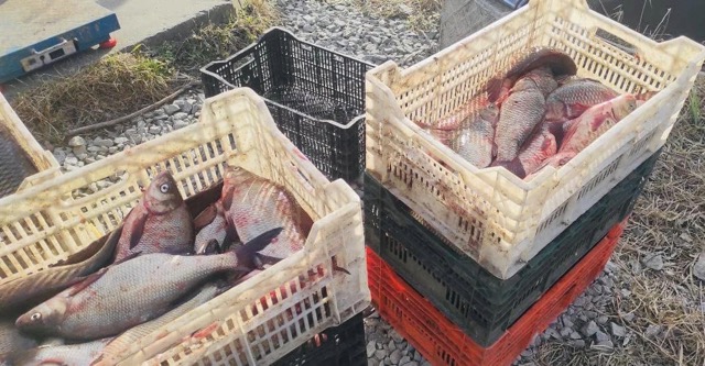 У Кіровоградській області викрили браконьєра, який виловив рибу на 272 тисячі гривень