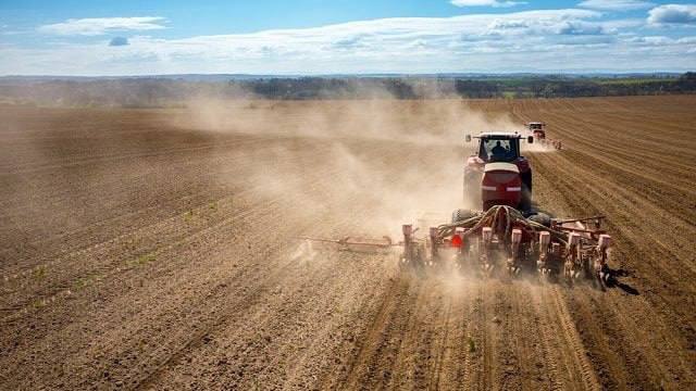 Господарства Кіровоградщини почали висаджувати картоплю та овочі