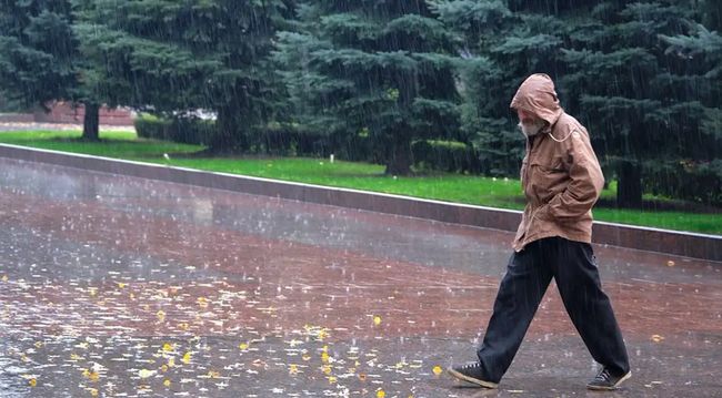 Попередження синоптиків: у Кіровоградщині очікуються пориви вітру та дощ