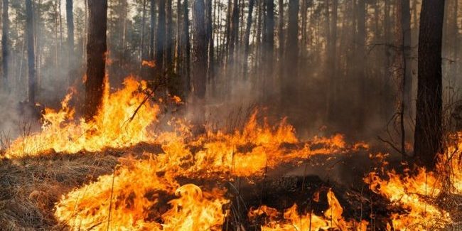 Жителям Кіровоградщини: пам’ятайте про пожежну небезпеку!