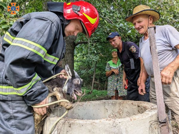 На Кіровоградщині рятувальники тричі за добу рятували тварин