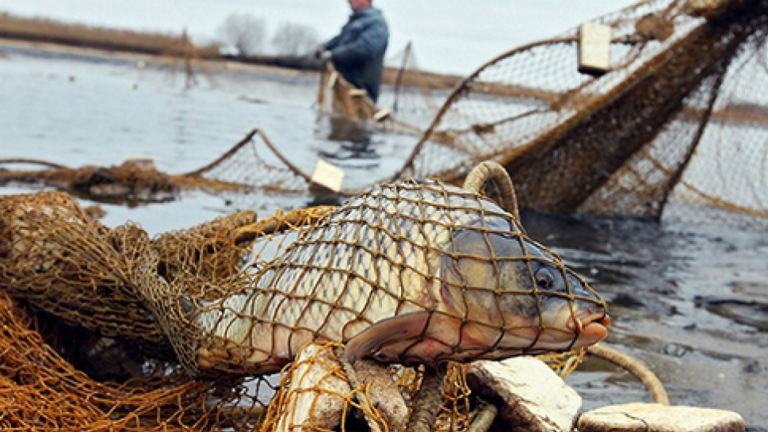 У Кіровоградській області заборонено вилов риби на зимувальних ямах