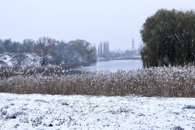 Засніжена Олександрія. Фото