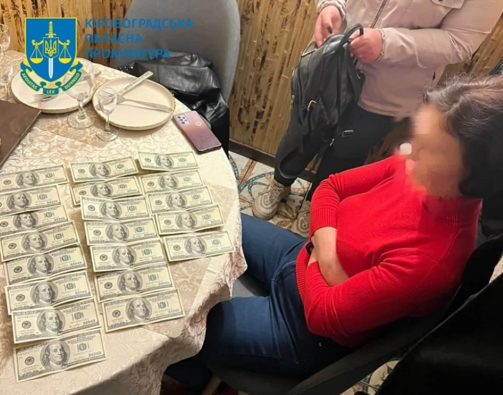 Вимагала хабар за оренду землі: на Кіровоградщині засудили депутатку ОПЗЖ