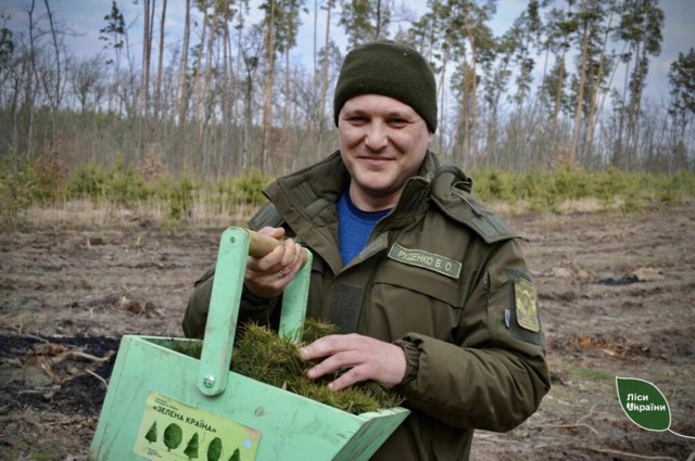 Лісівники Кіровоградщини перевищили план посадок саджанців