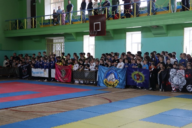 В Олександрії пройшов Відкритий чемпіонат області з військово-спортивного багатоборства