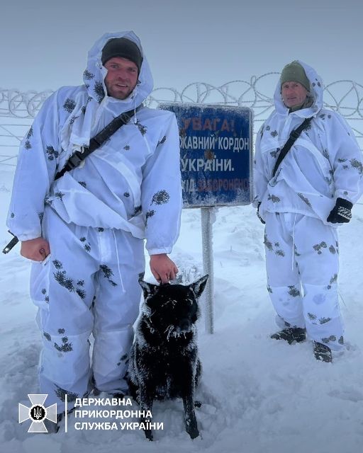 Зима впевнено вступає у свої права