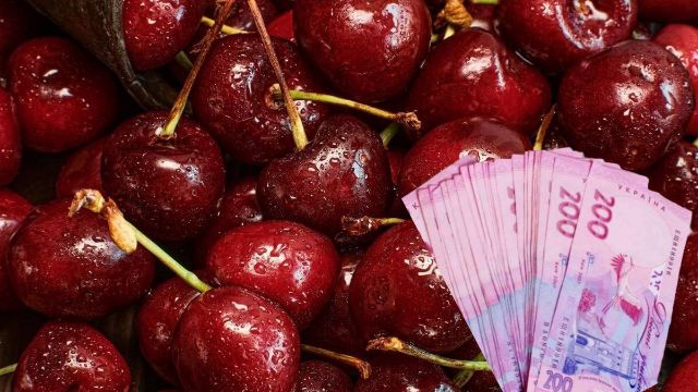 Ціни зростуть на 75%: Україна втратить половину врожаю черешні, — EastFruit 