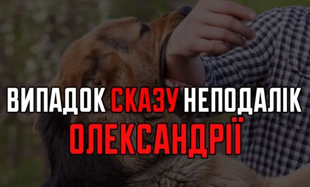 Випадок сказу домашньої собаки зафіксовано у селищі Приютівка: запроваджено карантинні обмеження
