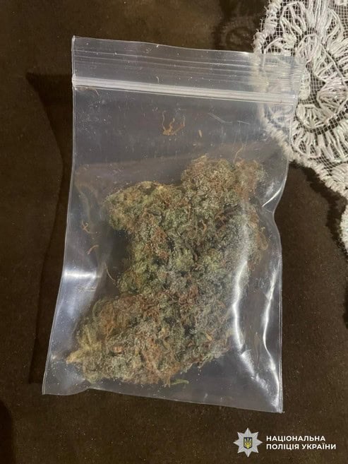 Поліцейські Світловодська затримали наркозбувача, який продавав метадон і канабіс