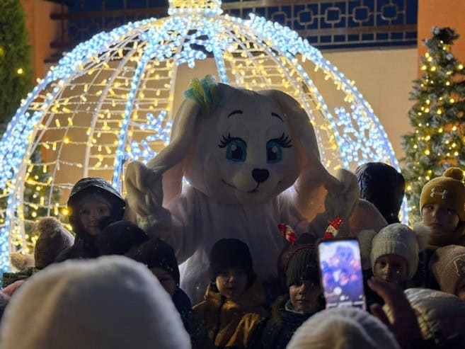 “Новорічний експрес бажань” в Олександрії: конкурси, танці та зустріч з казковими персонажами
