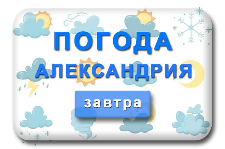 Погода завтра в Александрии Кировоградская область
