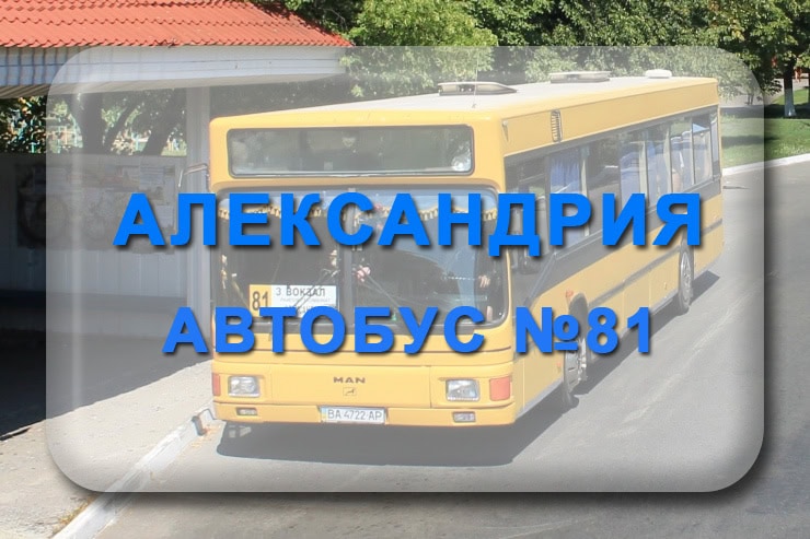 81 автобус Александрия - Александрийское: маршрут, расписание, отследить