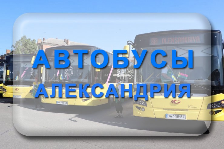 Автобусы Александрия, городские маршрутки