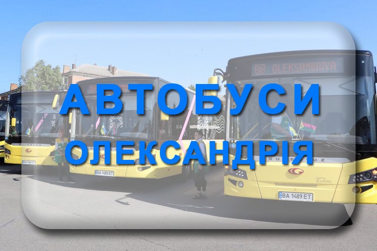 Автобуси Олександрія, міські маршрутки