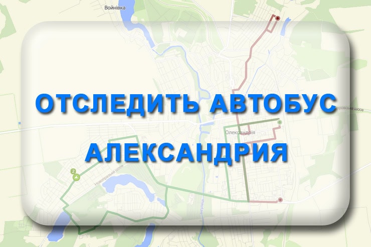 Как отследить автобус в Александрии