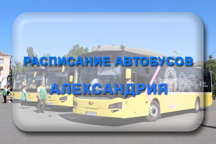 Расписание автобусов Александрия: новый график движения по городу