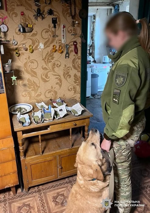 В Олександрії затримали злочинну групу, яка торгувала наркотиками: “бізнес” приносив 500 тисяч гривень на місяць