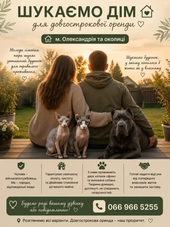 Орендую будинок в Олександрії