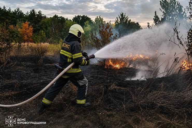 Масштабна пожежа в Олександрійському районі: вогонь охопив 10 гектарів, горіли трава, будівля та ліс