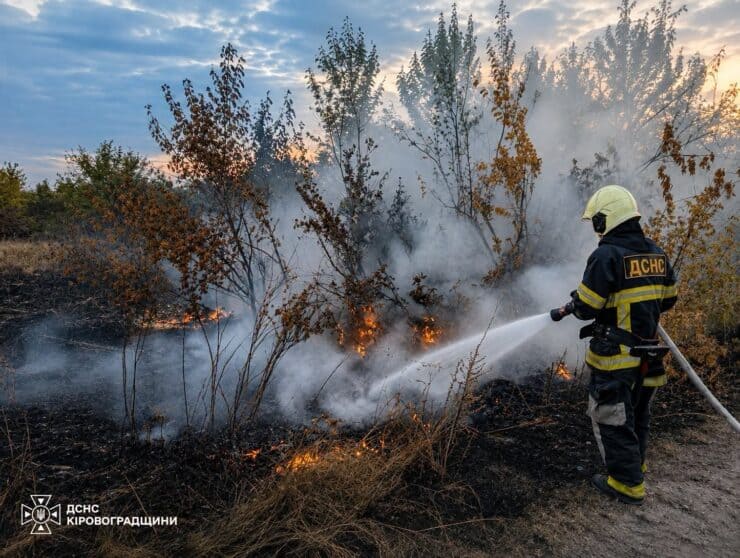 Масштабна пожежа в Олександрійському районі: вогонь охопив 10 гектарів, горіли трава, будівля та ліс
