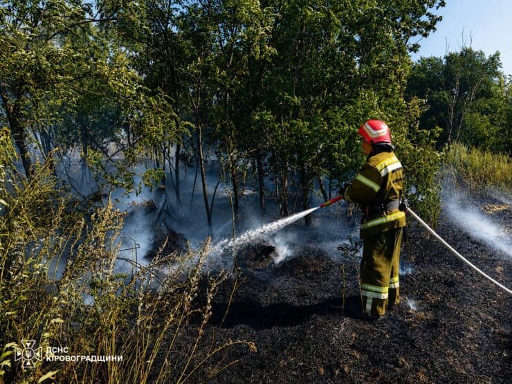 Масштабна пожежа в Олександрійському районі: вогонь охопив 10 гектарів, горіли трава, будівля та ліс