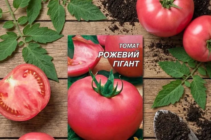Как выбрать семена помидор, томатов