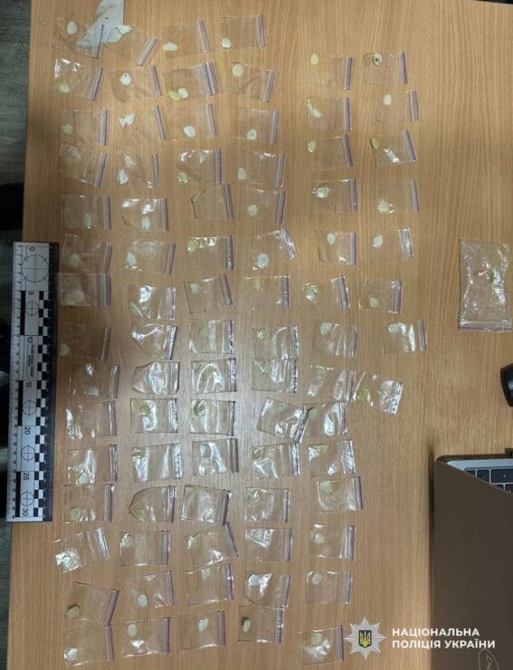 В Олександрії затримали 30-річного “закладчика”: чоловіку загрожує 10 років в’язниці